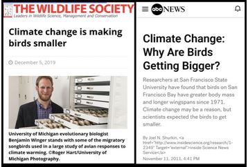 Climate Change - Bigger Birds and Smaller Birds.JPG
